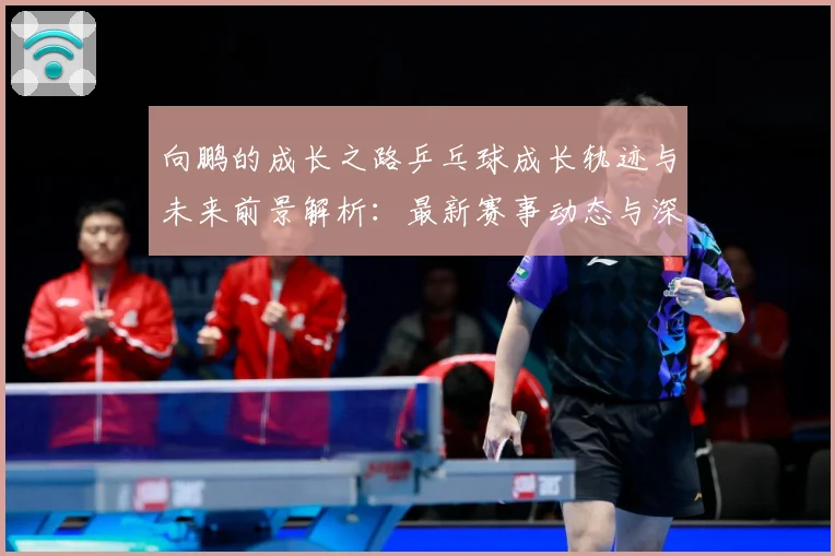 向鹏的成长之路乒乓球成长轨迹与未来前景解析：最新赛事动态与深度分析